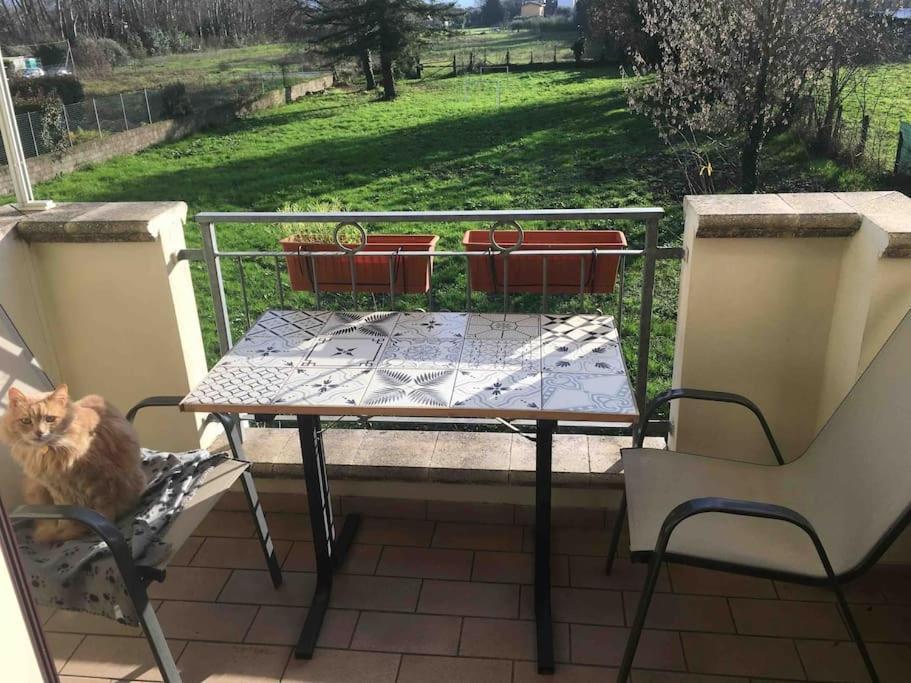 Appartement Piccolo Borgo à Lucques Extérieur photo